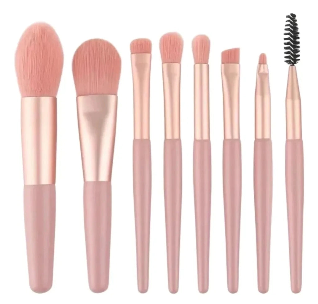 Limpiador de brochas + Set de brochas de REGALO